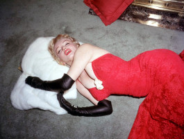 Marilyn Monroe photo #