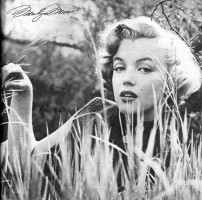 Marilyn Monroe photo #