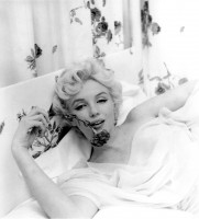 Marilyn Monroe photo #