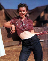 Marilyn Monroe photo #
