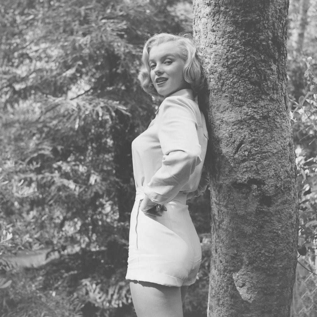 Marilyn Monroe: pic #373899