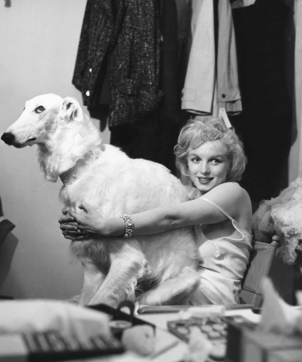 Marilyn Monroe: pic #1165751
