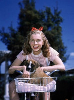 Marilyn Monroe photo #