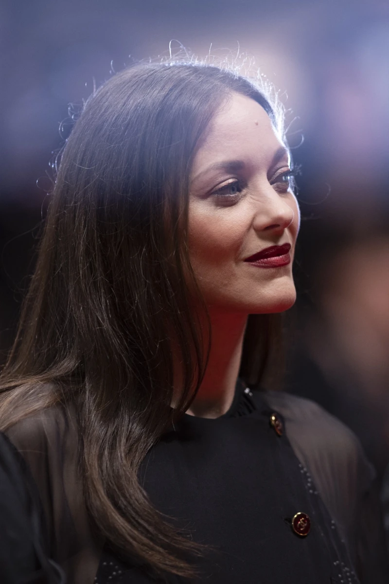 Marion Cotillard: pic #1304259