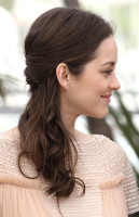 Marion Cotillard photo #
