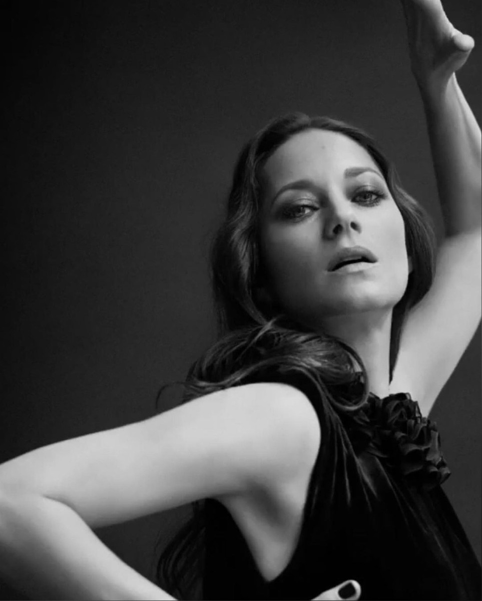 Marion Cotillard: pic #1259683