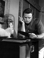 Marlon Brando photo #