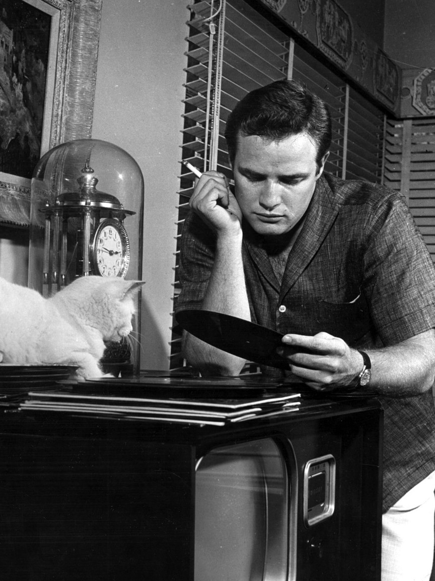 Marlon Brando: pic #228692