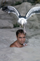 Marlon Brando photo #