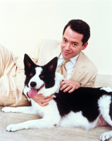 photo 4 in Matthew Broderick gallery [id324205] 2011-01-04