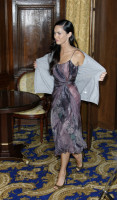Megan Fox photo #