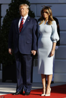 Melania Trump photo #