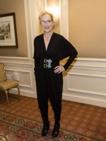 photo 8 in Meryl Streep gallery [id745142] 2014-12-04