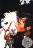 photo 20 in Michael Jackson gallery [id11072] 0000-00-00