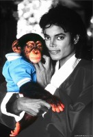 Michael Jackson photo #