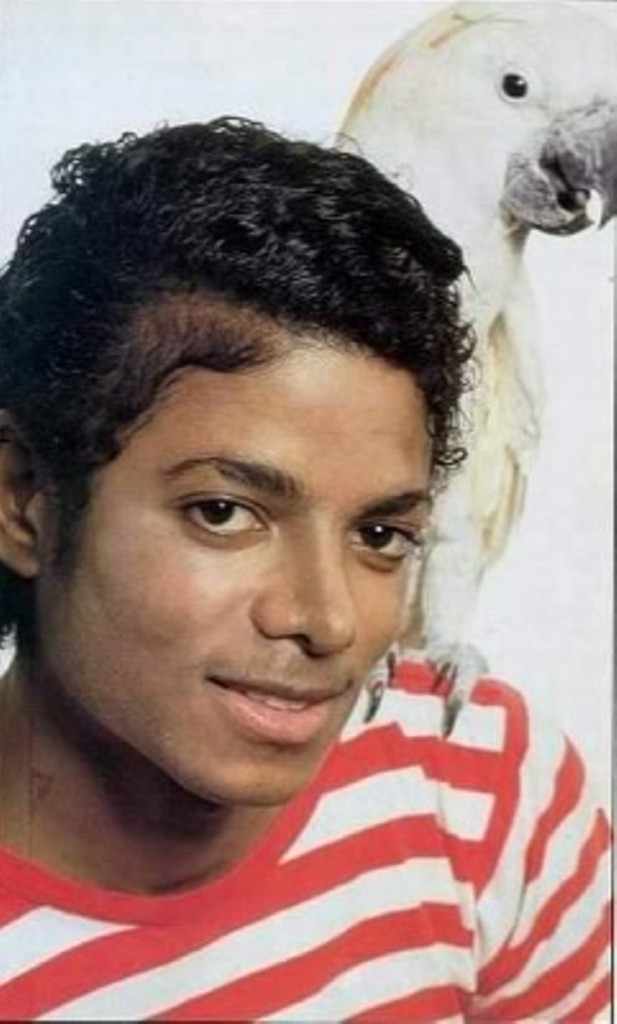 Michael Jackson: pic #168467