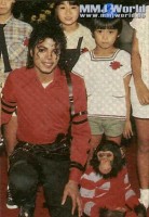 Michael Jackson photo #