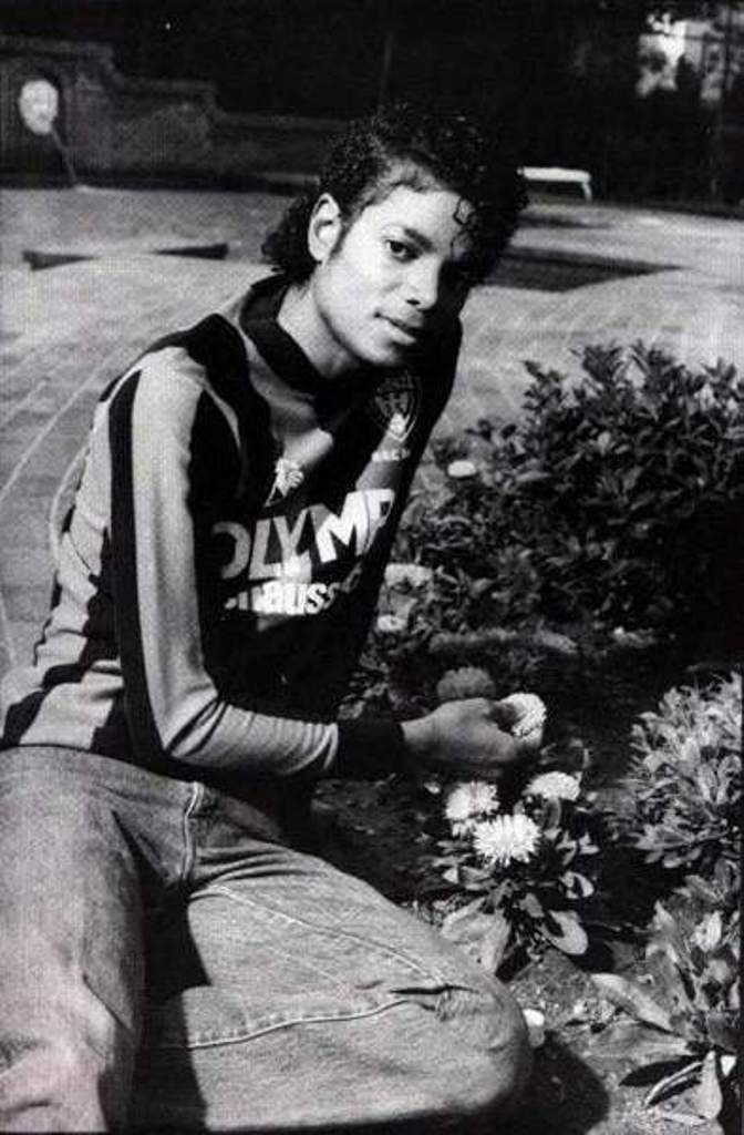 Michael Jackson: pic #172310