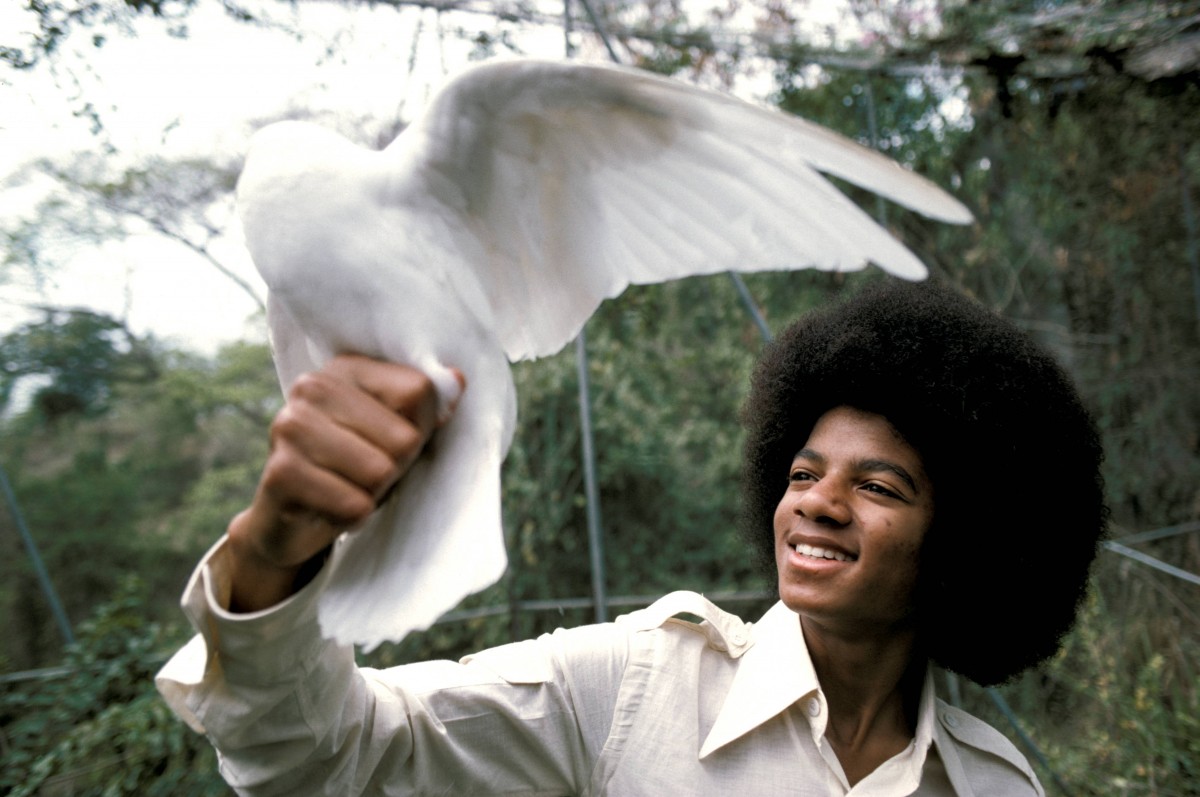Michael Jackson: pic #573310