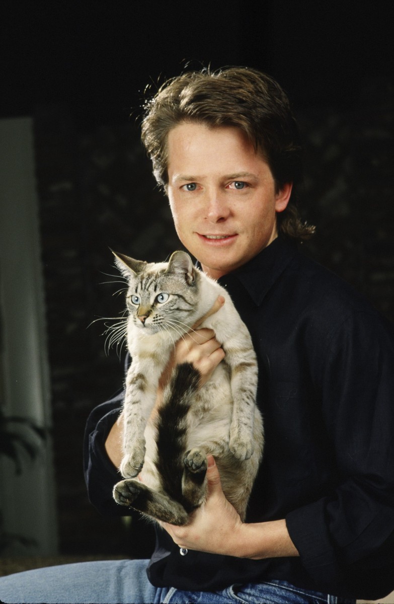 Michael J. Fox: pic #198895