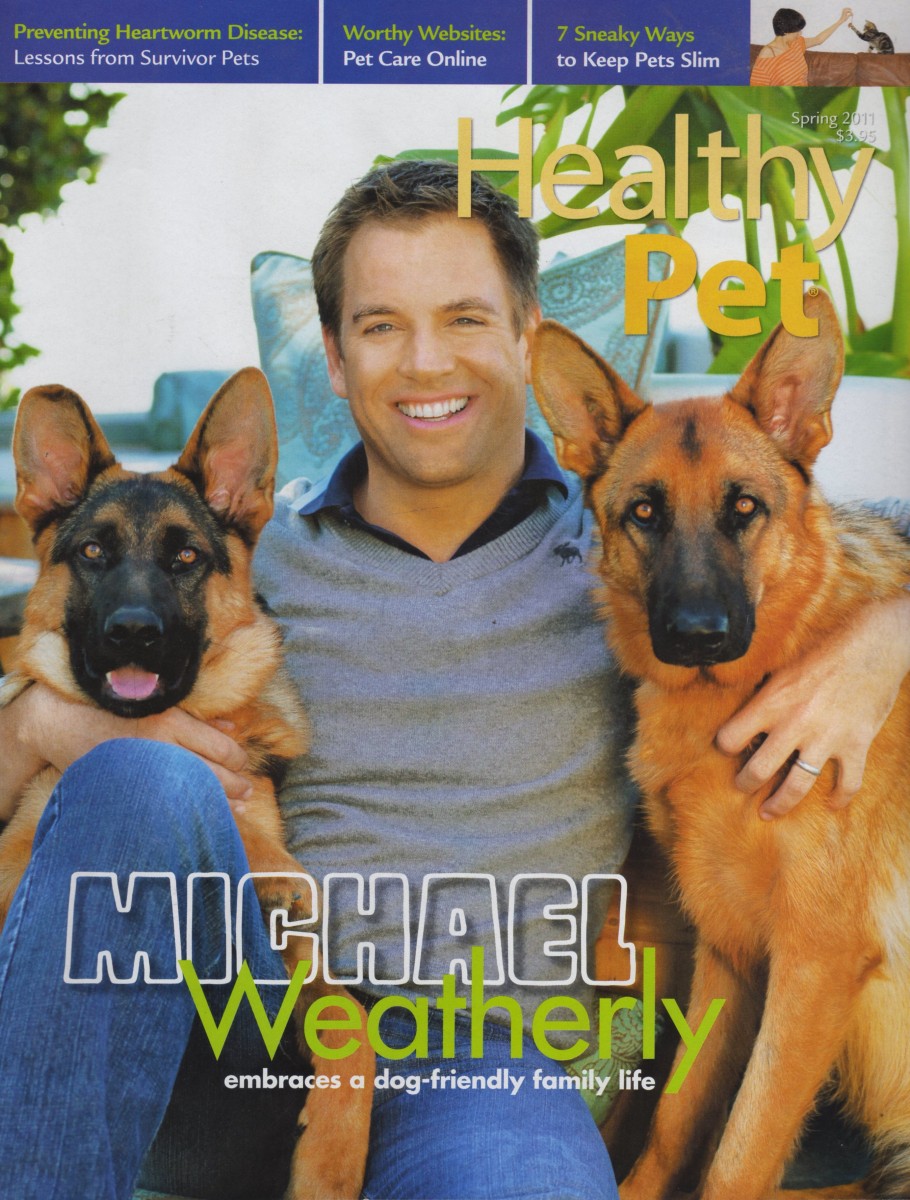 Michel Weatherly: pic #368864