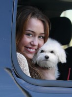 photo 9 in Miley gallery [id161099] 2009-06-05