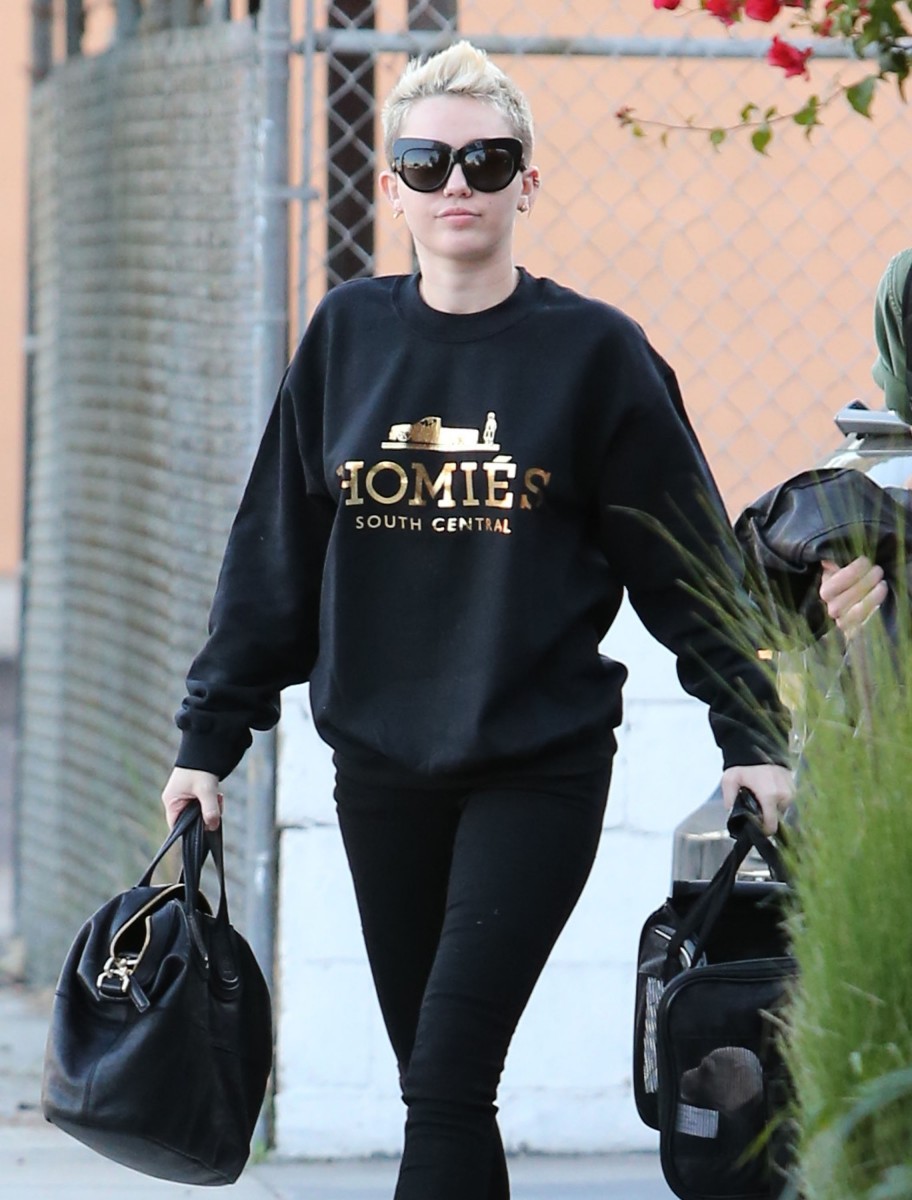 Miley Cyrus: pic #625558