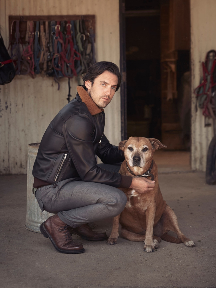 Milo Ventimiglia: pic #1231635