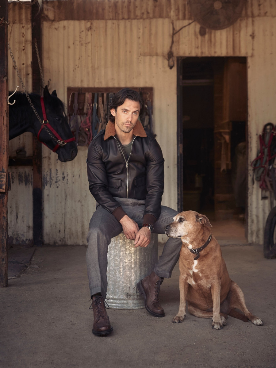 Milo Ventimiglia: pic #1231631