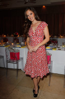 Minka Kelly photo #