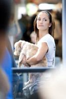Minka Kelly photo #