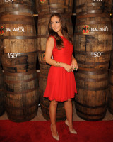 Minka Kelly photo #
