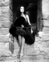 Monica Bellucci photo #