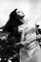 Monica Bellucci photo #