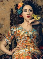 Monica Bellucci photo #