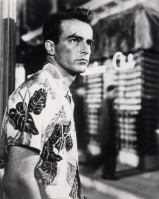 Montgomery Clift pic #367059