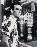 Montgomery Clift photo #