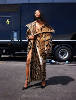 photo 17 in Naomi Campbell gallery [id1315651] 2022-11-28