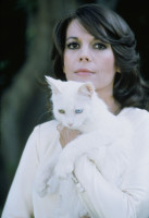 Natalie Wood photo #