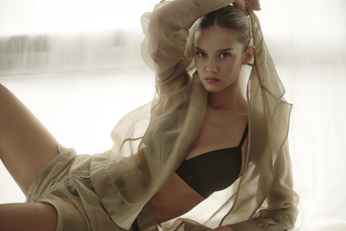 Nicola Cavanis: pic #1371185