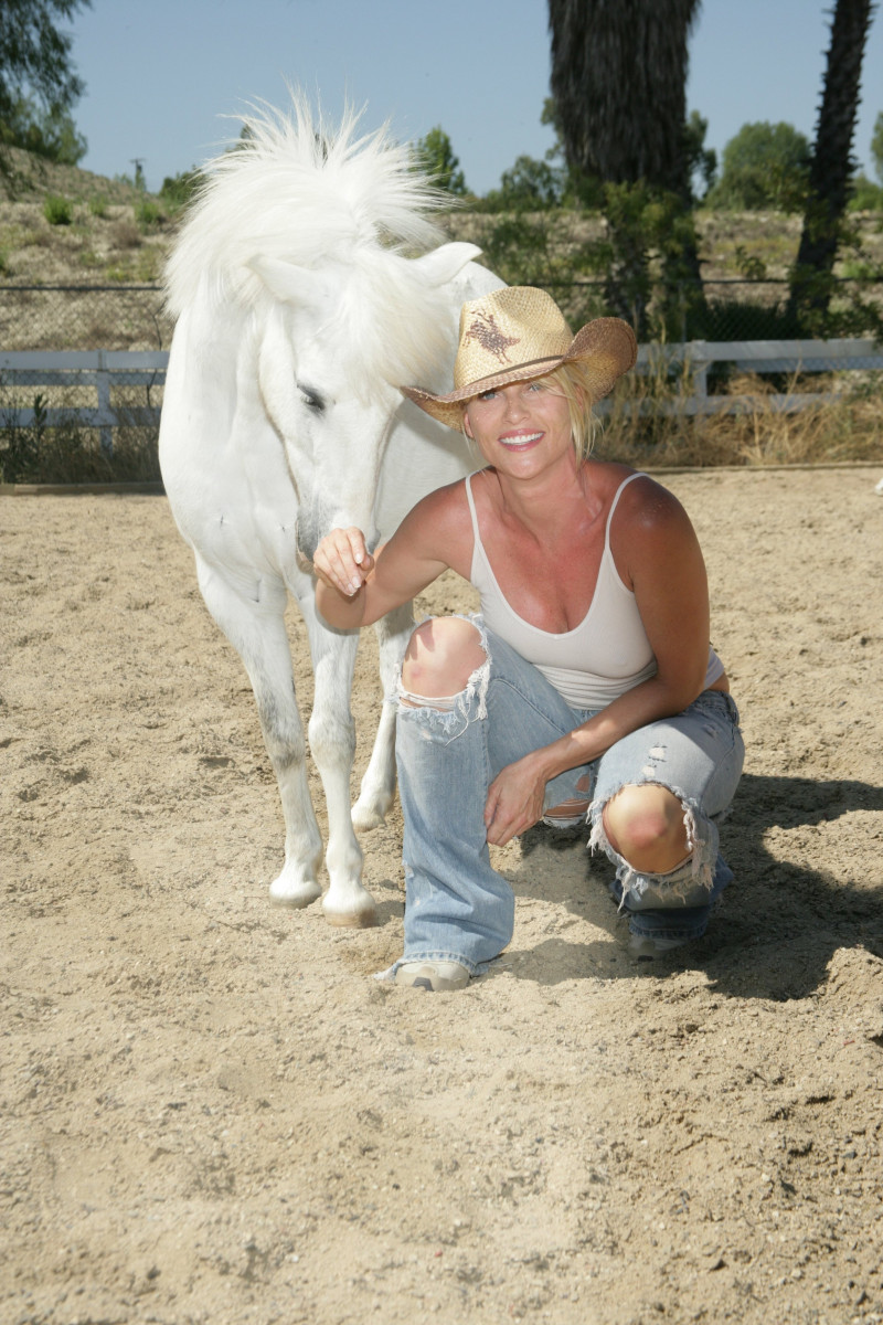 Nicolette Sheridan: pic #318311