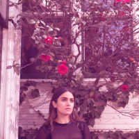 Nikki Reed photo #