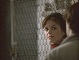Nora Zehetner photo #