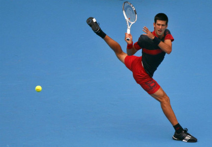 Novak Djokovic pic #449784