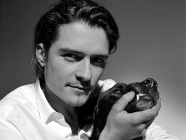 Orlando Bloom photo #