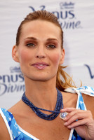 Molly Sims photo #