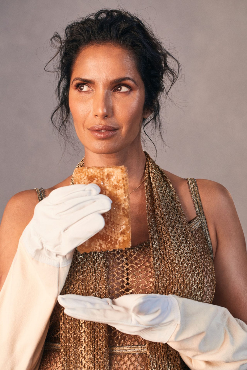 Padma Lakshmi: pic #1352672