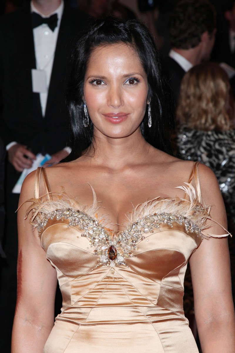 Padma Lakshmi: pic #255107