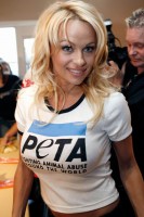 Pamela Anderson photo #