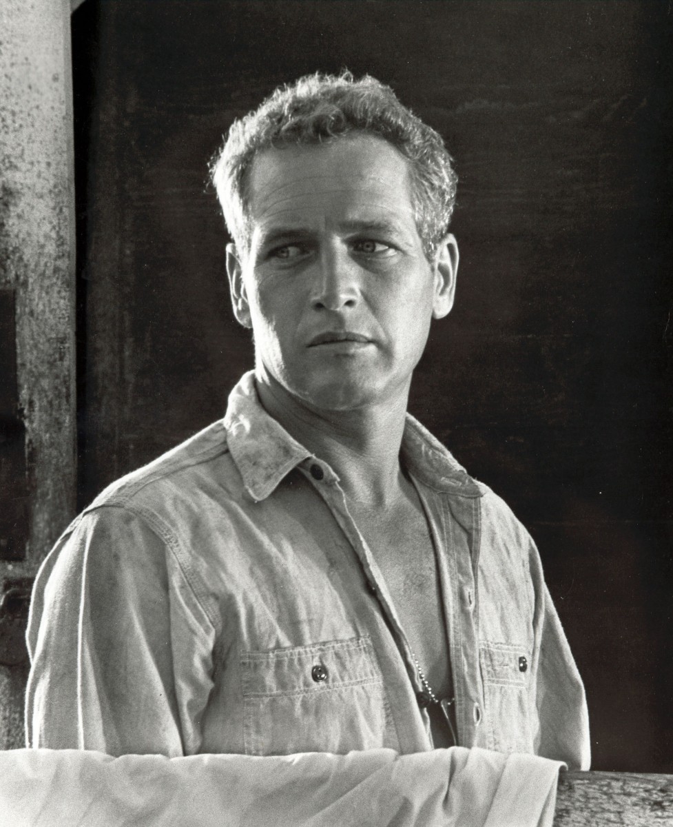 Paul Newman: pic #364430